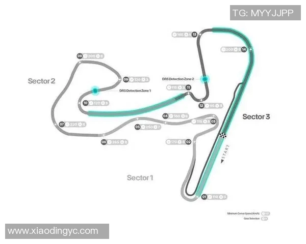 F1赛季车队策略调整与赛道适应性分析及其对比赛结果的影响
