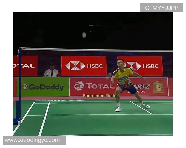 羽毛球混双比赛中的战术配合与技术解析提升竞技水平的关键策略