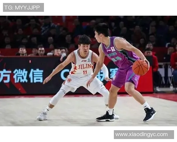 CBA球队年轻球员成长轨迹分析